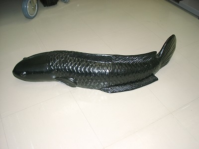 ライギョ3