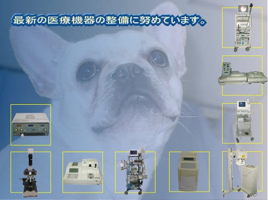 最新の医療機器の整備に努めています。