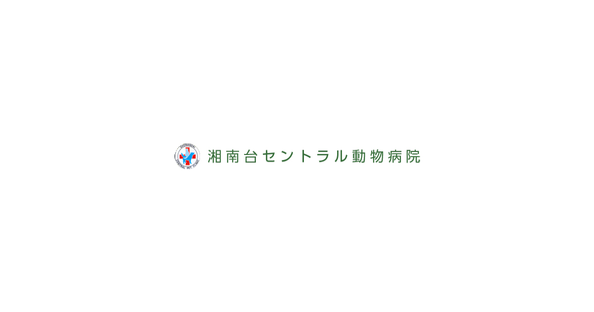 神奈川県藤沢市の動物病院 湘南台セントラル動物病院 土曜日日曜日も診療 トリミング ペットホテル