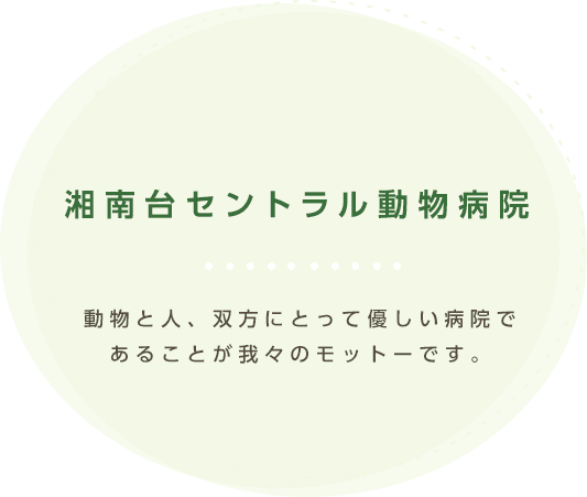 動物と人、双方にとって優しい病院であることが我々のモットーです。