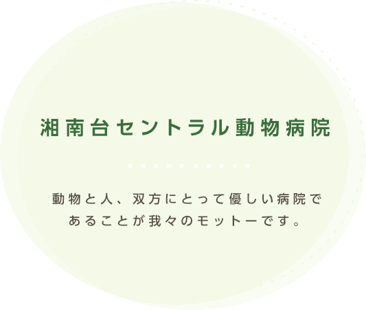 動物と人、双方にとって優しい病院であることが我々のモットーです。